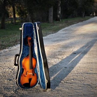 Violine auf einem Sandweg